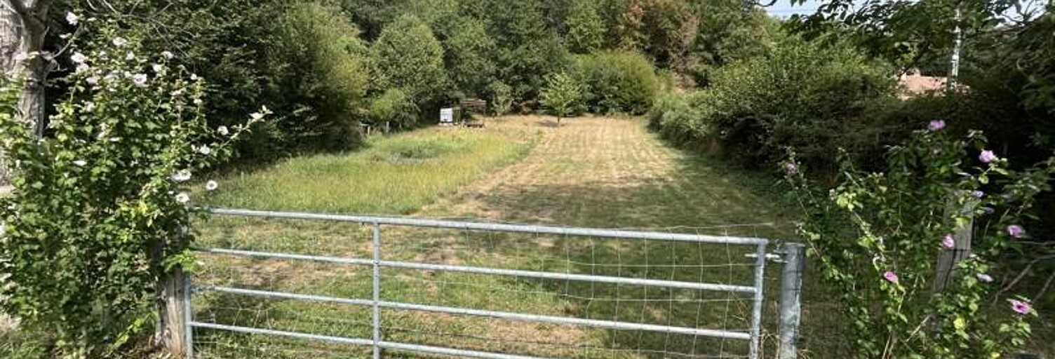 Terrain  6560 m² à vendre à Beaulieu-sur-Dordogne (19120)
