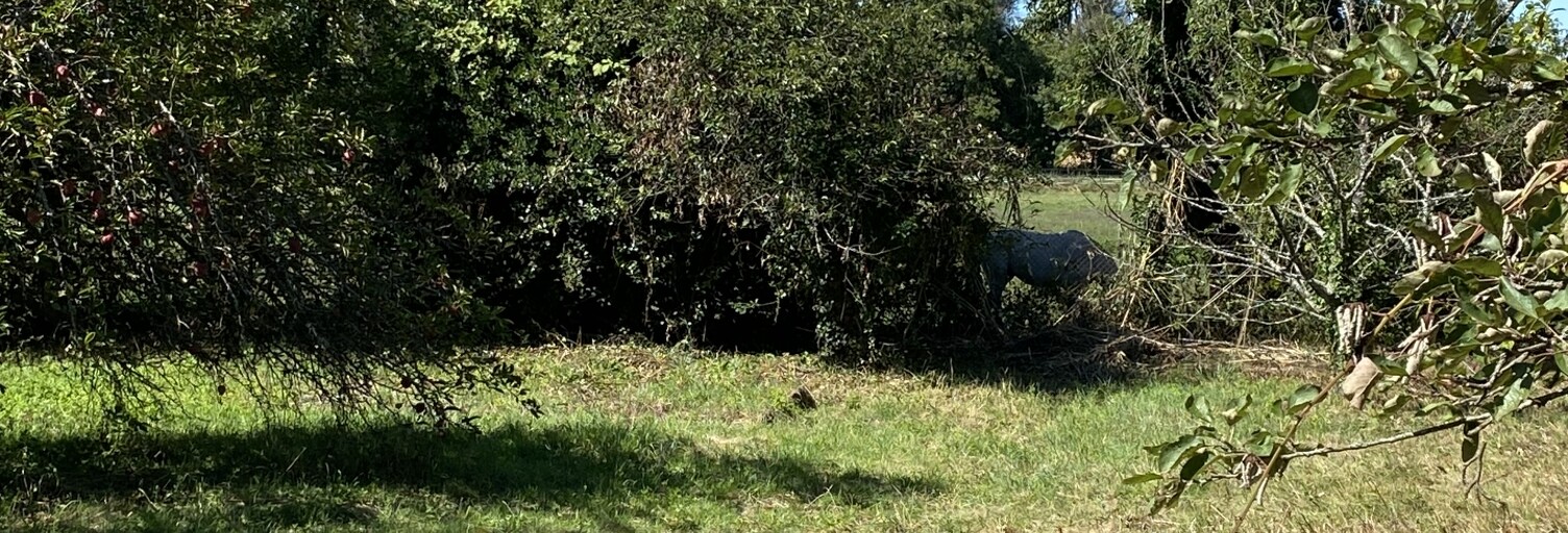 Terrain  1397 m² à vendre à Zillisheim (68720)