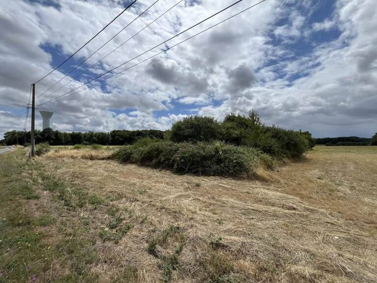 Terrain non constructible de 0 pièces principales — photo 1