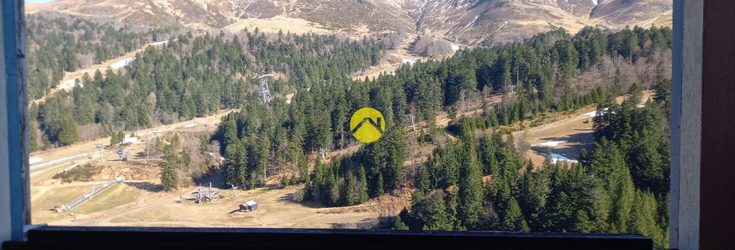 Maison 2 Pièces 33 m² à vendre à Laveissière (15300)