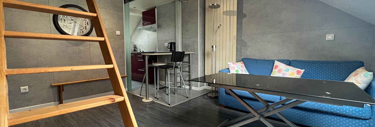 Appartement 4 Pièces 17 m² à vendre à Colmar (68000)