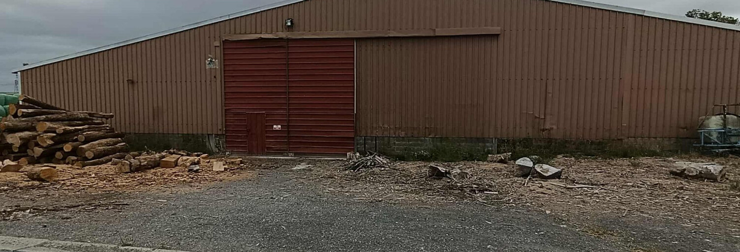 Local industriel  980 m² à louer à Saint-Python (59730)