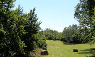 Maison 10 Pièces 253 m² à vendre à Vic-Fezensac (32190)