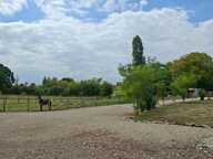 Maison Villa  Plain pied NEuve 2022 Basse Conso 164 m2 + Dépendance neuve 117m2 , Parc Clos 5800m2 — photo 3