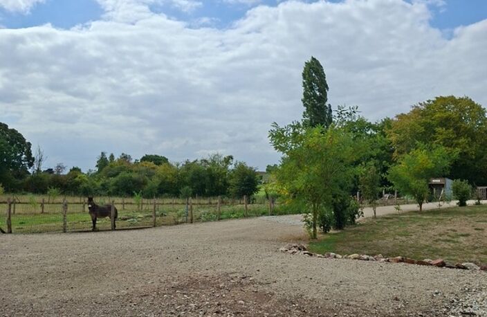 Maison Villa  Plain pied NEuve 2022 Basse Conso 164 m2 + Dépendance neuve 117m2 , Parc Clos 5800m2 — photo 3