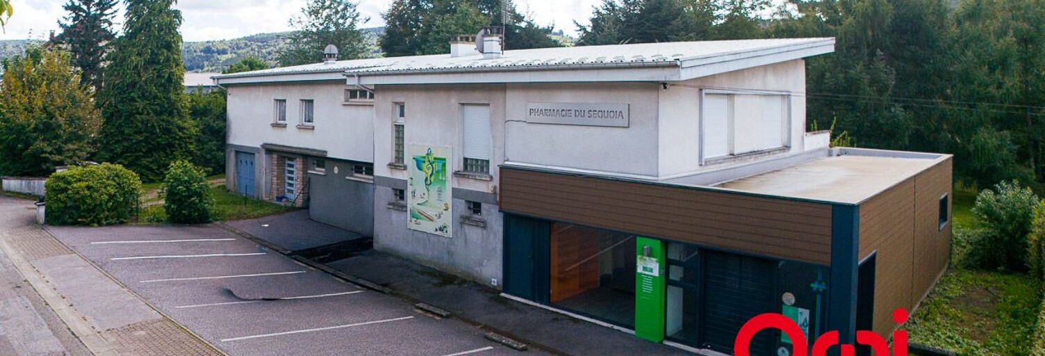 Maison 6 Pièces 330 m² à vendre à Rupt-sur-Moselle (88360)