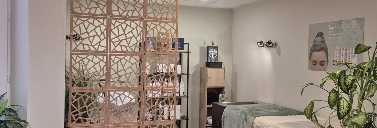 Commerce 3 Pièces 70 m² à vendre à Nérondes (18350)