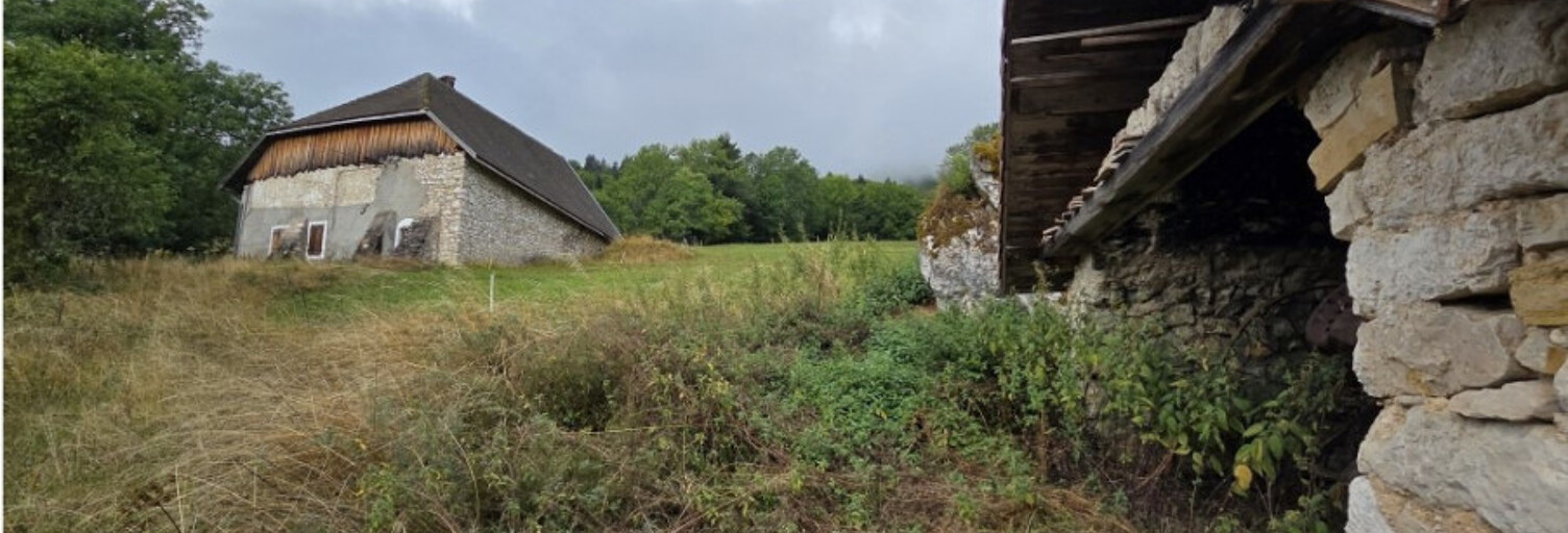 Maison 4 Pièces 300 m² à vendre à Saint-Andéol (38650)