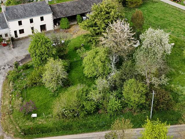 MAISON EN PIERRE 3 CHAMBRES HANGAR — photo du bien