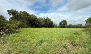 Terrain   m² à vendre à La Trinité-Surzur (56190)