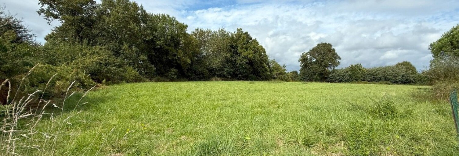 Terrain   m² à vendre à La Trinité-Surzur (56190)