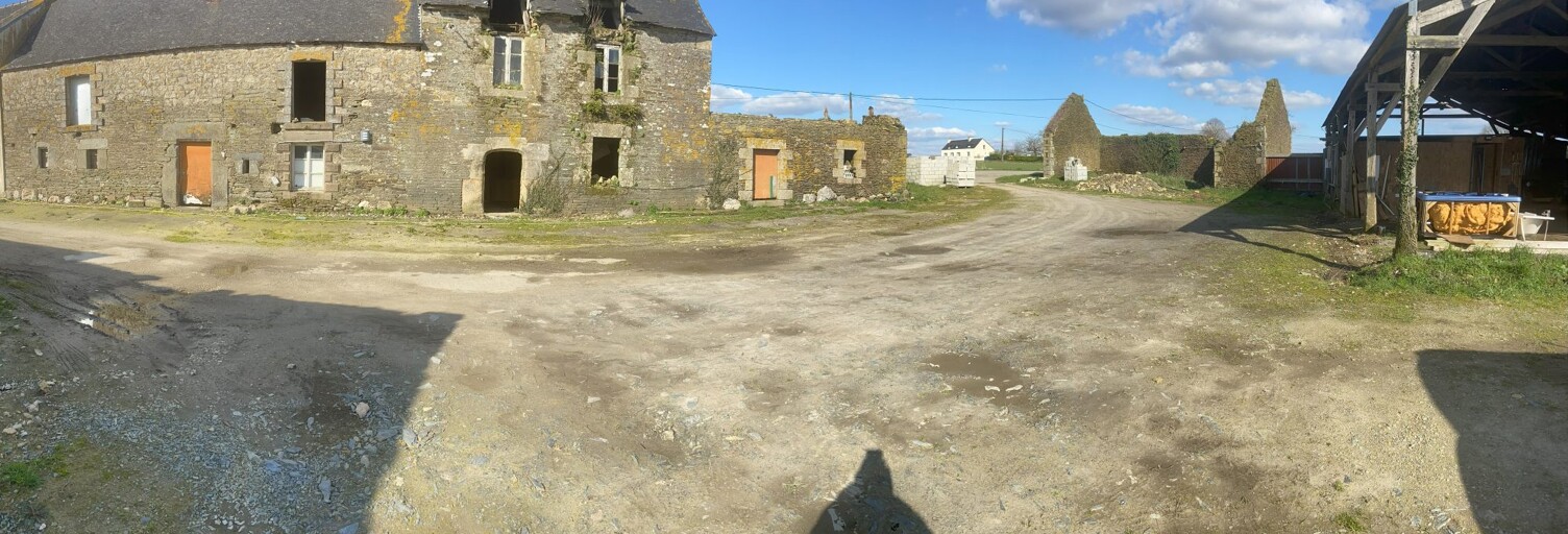 Maison 1 Pièce 3429 m² à vendre à Pluméliau-Bieuzy (56930)