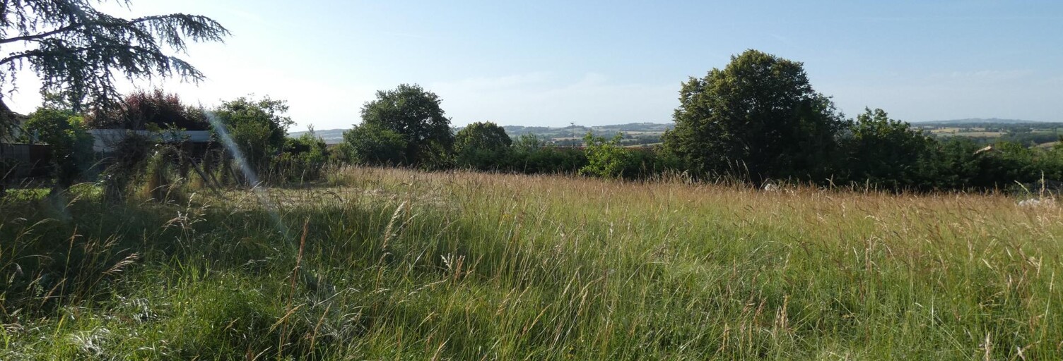 Terrain  2923 m² à vendre à Monestiés (81640)