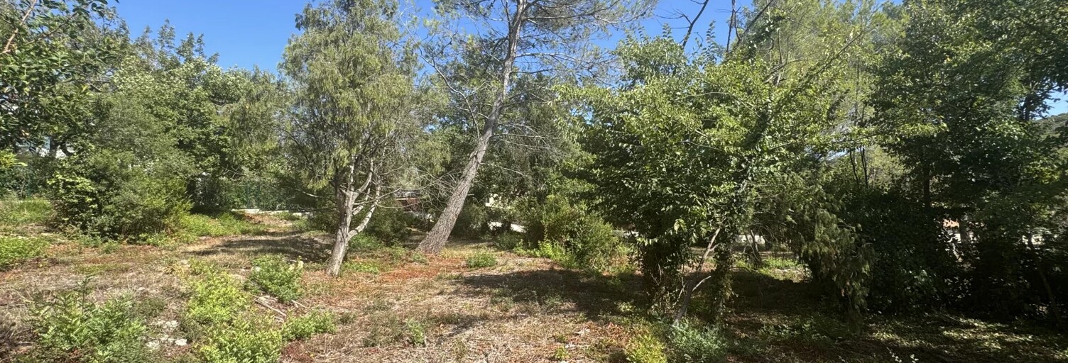 Terrain  3375 m² à vendre à Opio (06650)