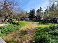 Terrain agricole — photo 3
