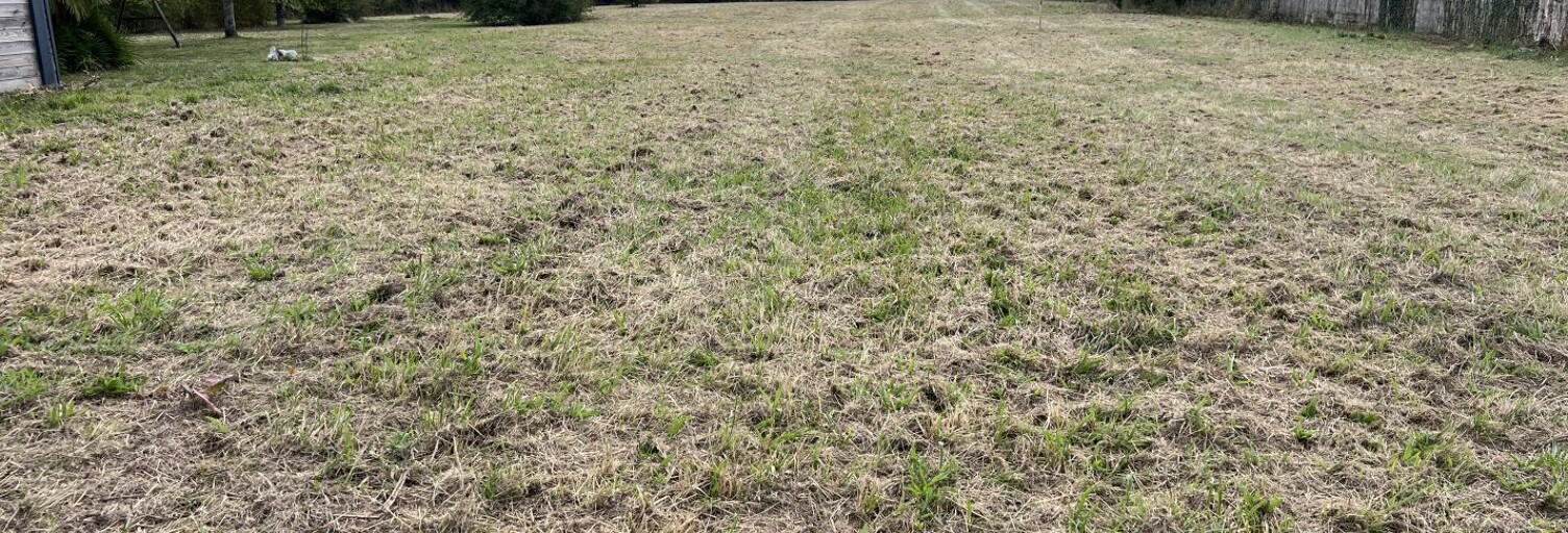 Terrain  1250 m² à vendre à Vertou (44120)