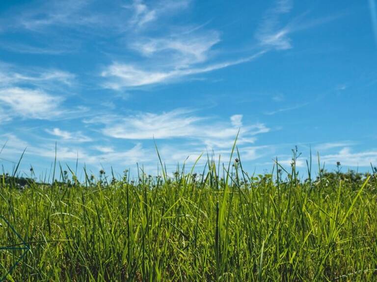 Terrain — photo 1