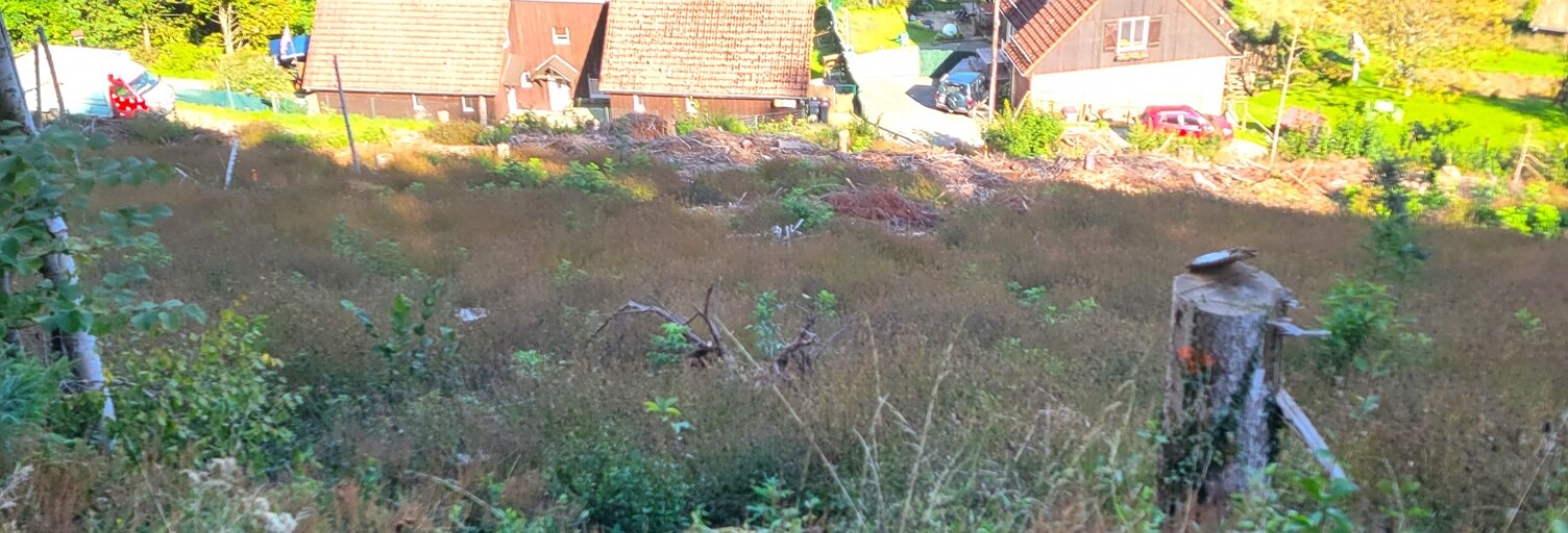 Terrain  1324 m² à vendre à Bourbach-le-Haut (68290)