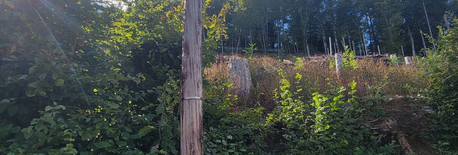 Terrain  1147 m² à vendre à Bourbach-le-Haut (68290)