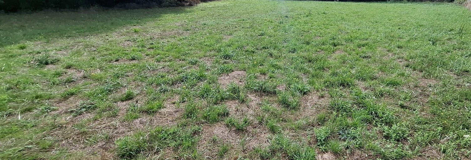 Terrain  970 m² à vendre à Noailhac (81490)