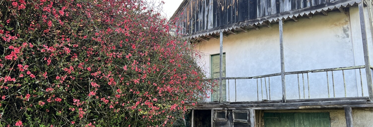 Maison 2 Pièces 53 m² à vendre à Trébons (65200)