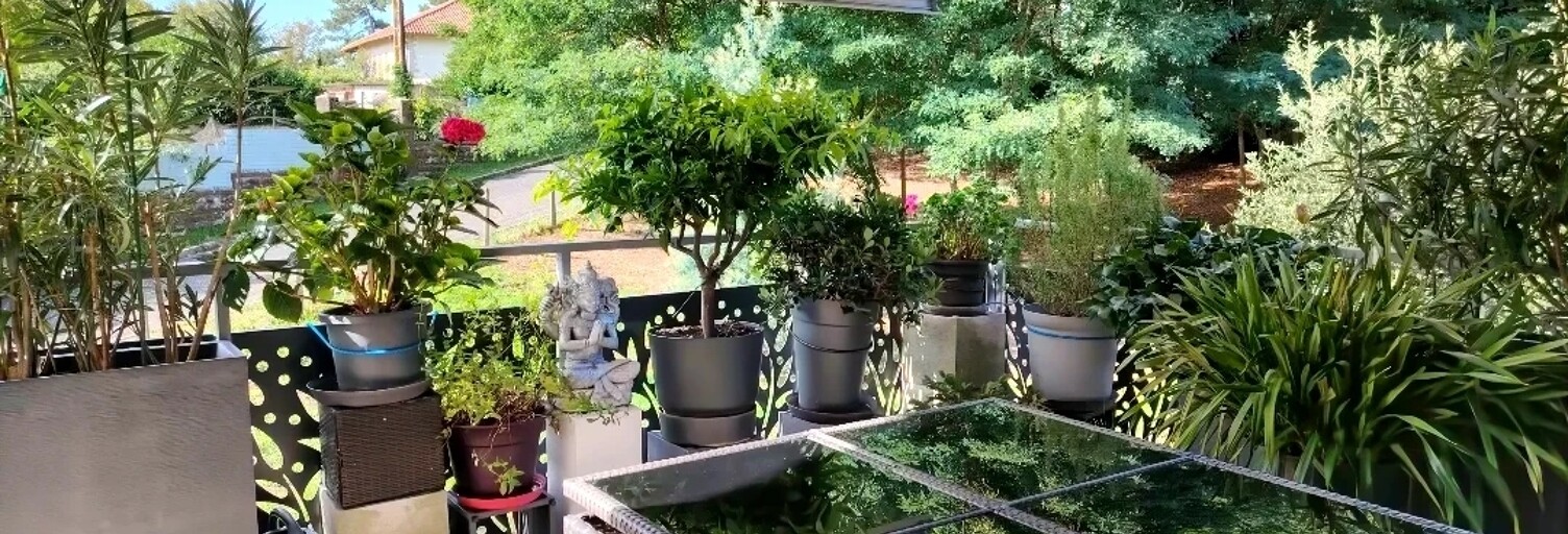 Appartement 4 Pièces 93 m² à vendre à Seignosse (40510)