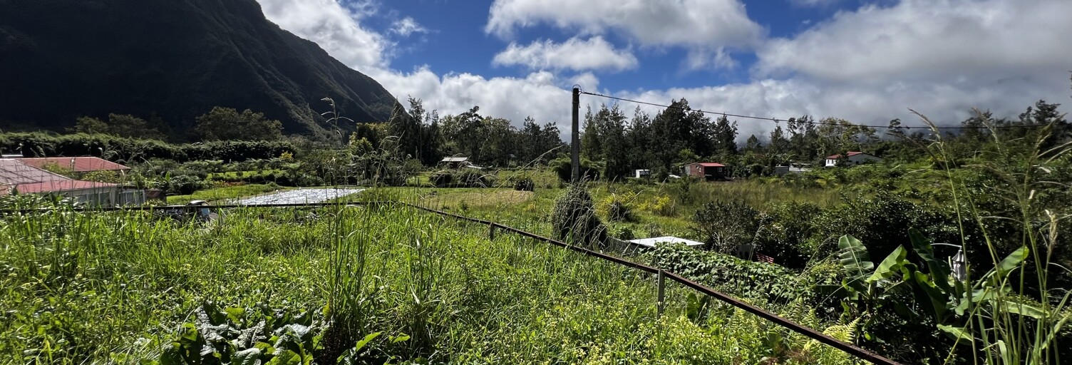 Maison 4 Pièces 80 m² à vendre à La Plaine-des-Palmistes (97431)