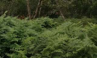 Terrain  900 m² à vendre à Saint-Aubin-de-Médoc (33160)