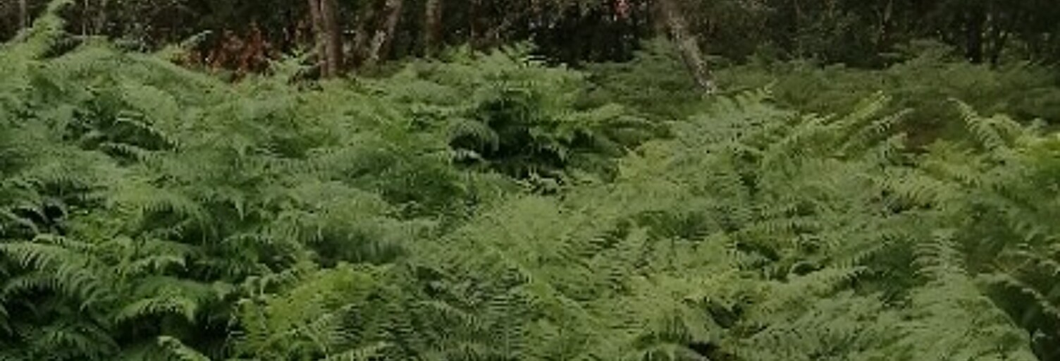 Terrain  900 m² à vendre à Saint-Aubin-de-Médoc (33160)