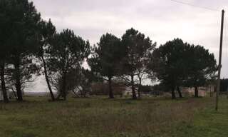 Terrain  1000 m² à vendre à Arsac (33460)