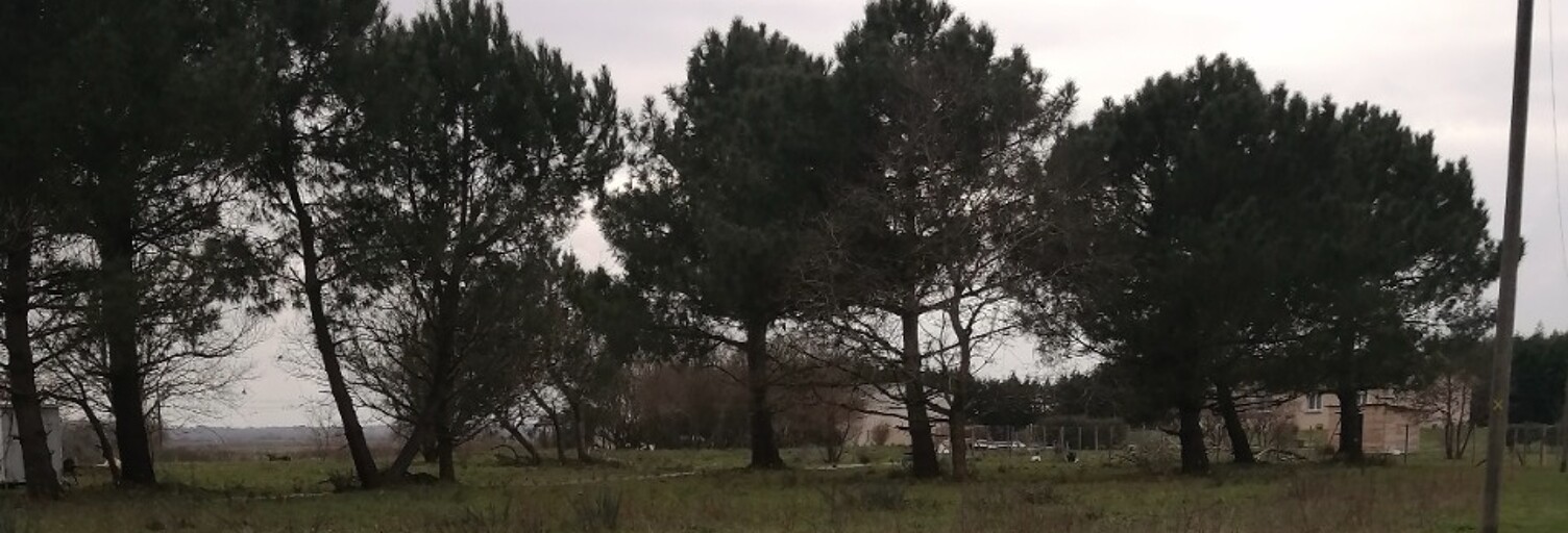 Terrain  1000 m² à vendre à Arsac (33460)