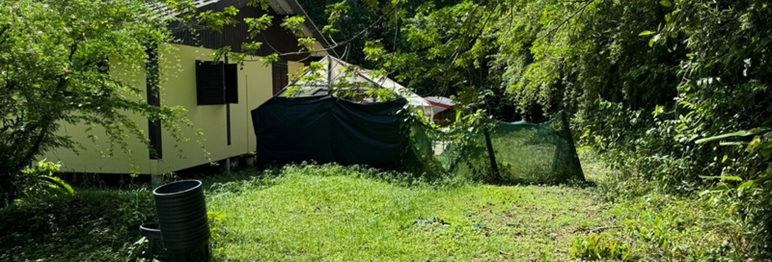 Maison 4 Pièces 124 m² à vendre à Saint-Laurent-du-Maroni (97320)