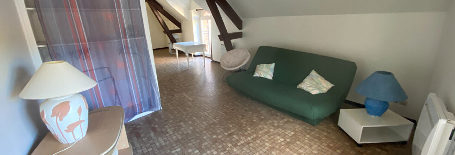 Appartement 1 Pièce 44 m² à louer à Aubigny-sur-Nère (18700)