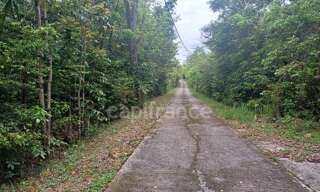 Terrain  6000 m² à vendre à Deshaies (97126)