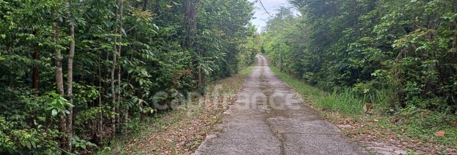 Terrain  6000 m² à vendre à Deshaies (97126)