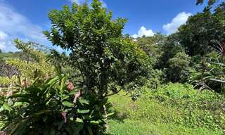 Maison 4 Pièces 106 m² à vendre à Petit-Bourg (97170)