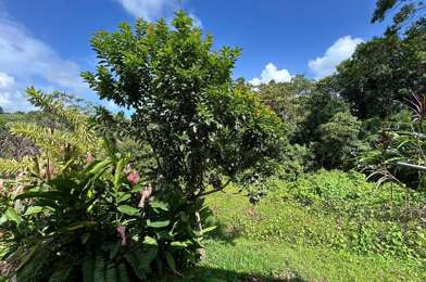 Maison 4 pièces 399000 €