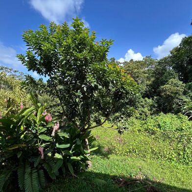 Maison 4 pièces 399000 €