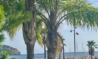 Appartement 2 Pièces 48 m² à vendre à Saint-Cyr-sur-Mer (83270)