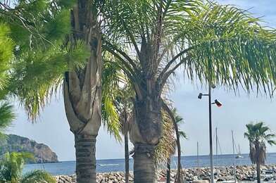 Appartement 2 pièces 405000 €