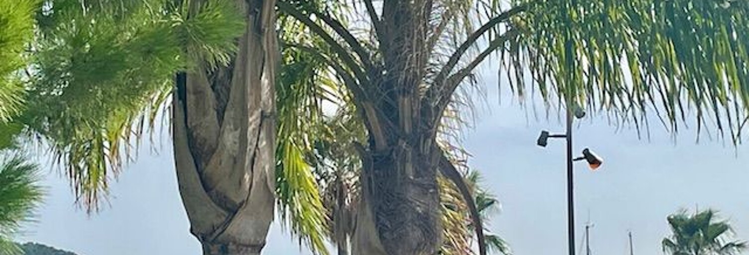 Appartement 2 Pièces 48 m² à vendre à Saint-Cyr-sur-Mer (83270)