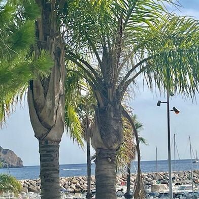 Appartement 2 pièces 405000 €