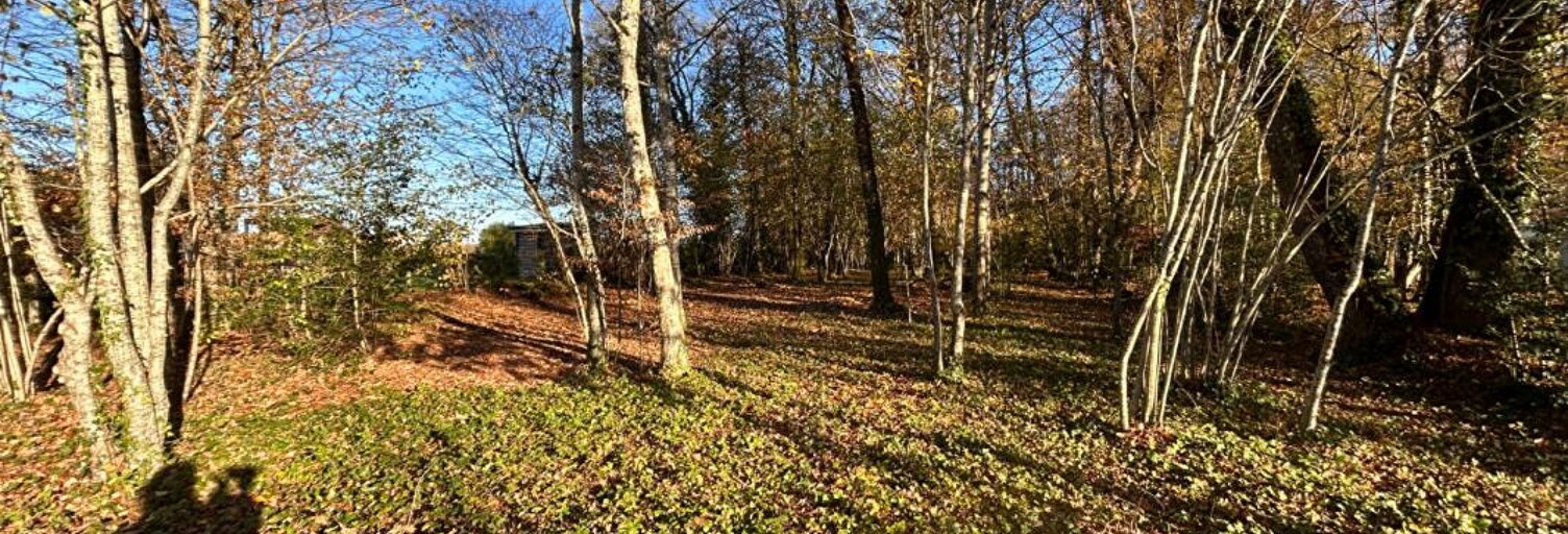 Terrain  4176 m² à vendre à Marsac-sur-l'Isle (24430)
