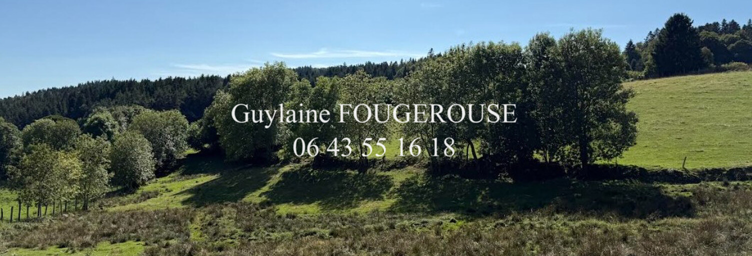 Maison 8 Pièces 380 m² à vendre à La Chapelle-en-Lafaye (42380)