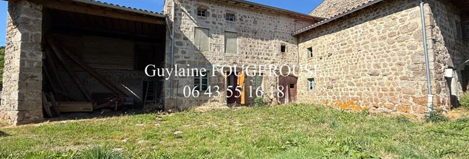 Maison 8 Pièces 380 m² à vendre à La Chapelle-en-Lafaye (42380)