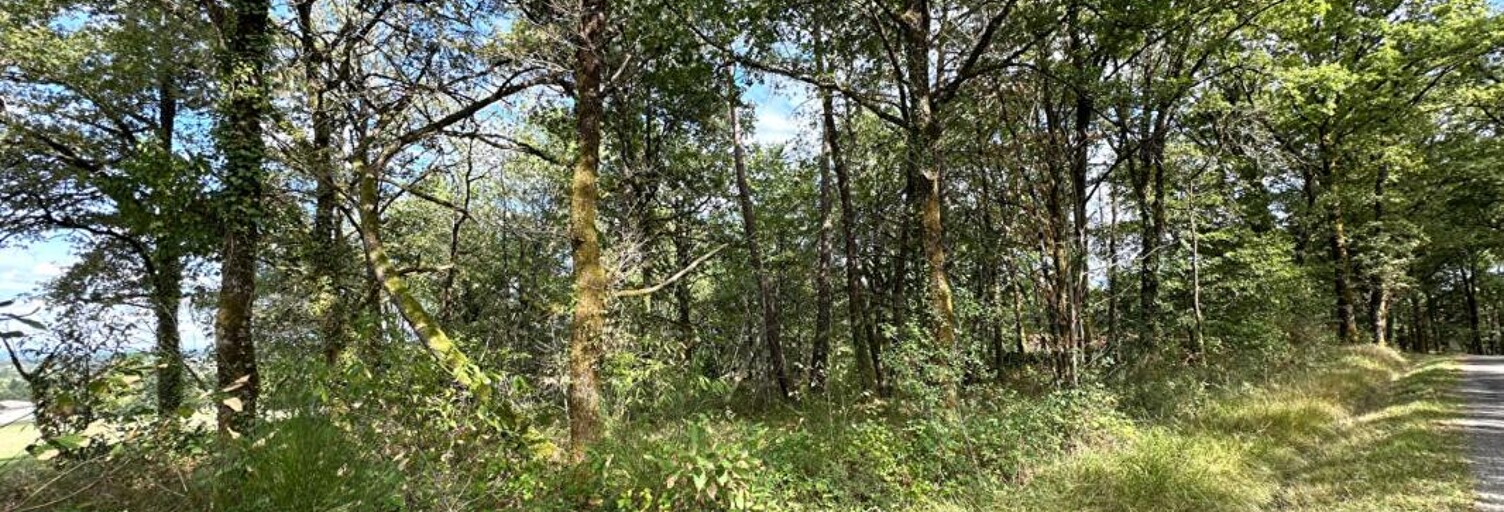 Terrain  3300 m² à vendre à Saint-Martin-de-Fressengeas (24800)