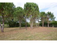 Terrain — photo 2