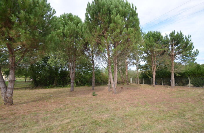 Terrain — photo 2