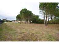 Terrain — photo 4