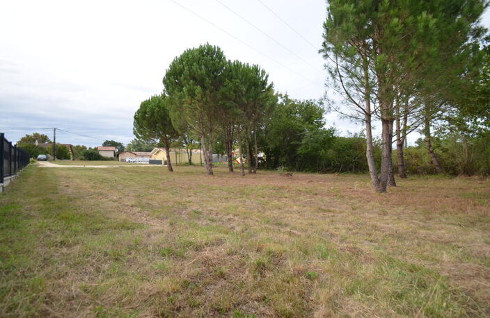Terrain — photo 4